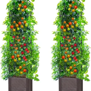 2-Pack Tall Raised Garden Bed with Trellis